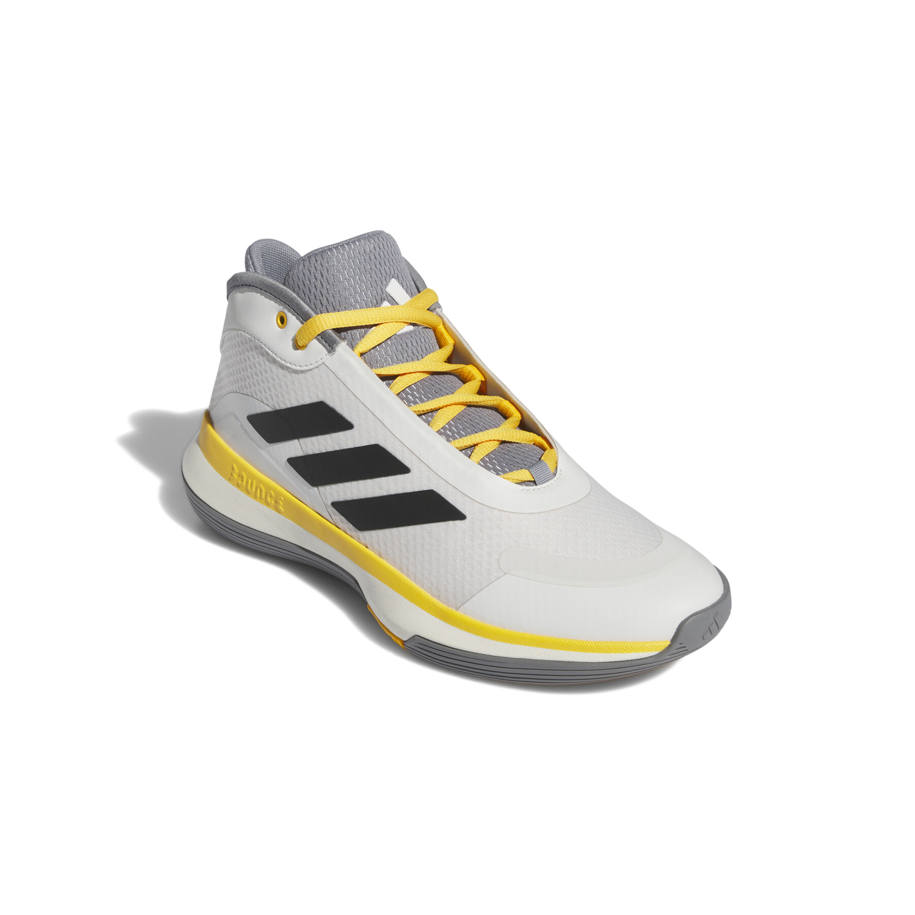 Indoor Sports Shoes adidas Bounce Legends