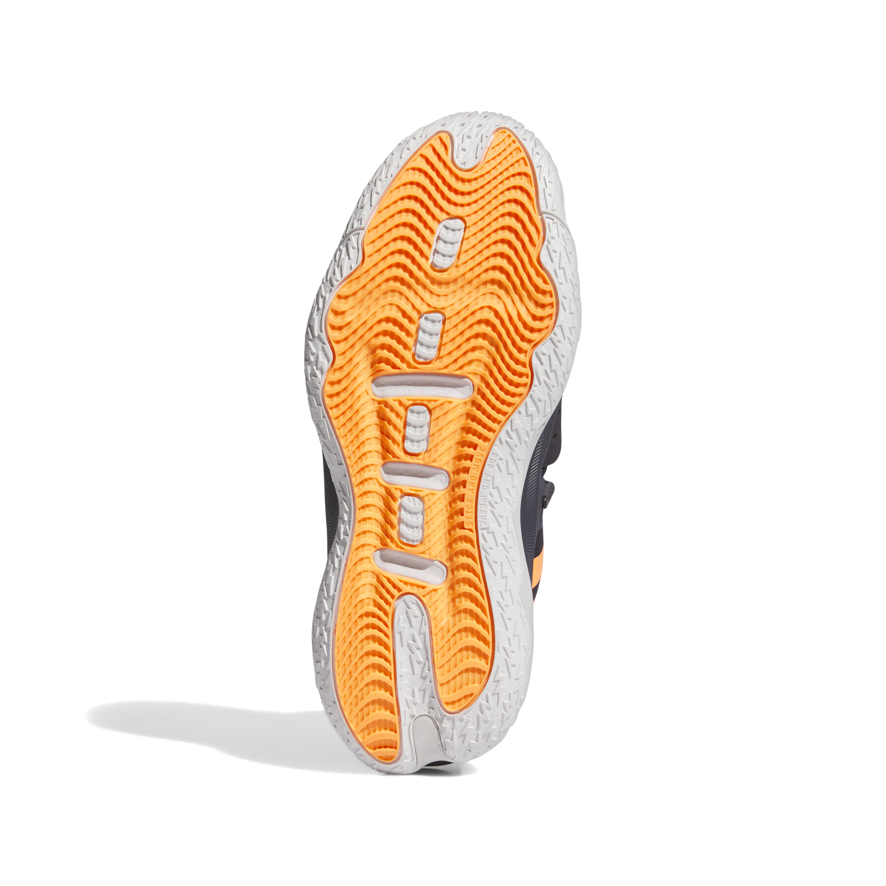 Indoor Sports Shoes adidas Originals Dame 8 Extply