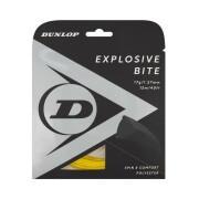 Rope Dunlop explosive bite