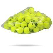 Lot of 60 tennis balls Dunlop training