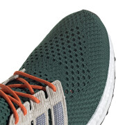 Running shoes adidas Ultraboost 1.0
