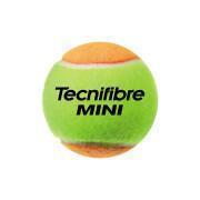 Set of 3 tennis balls for children Tecnifibre Mini