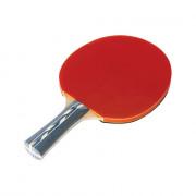 Table tennis racket training Tremblay